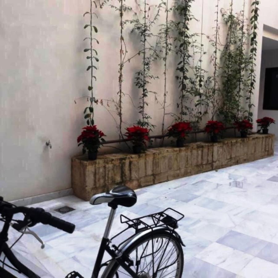 Estudio En Pleno Centro De Sevilla By Msholidays Bagian luar foto